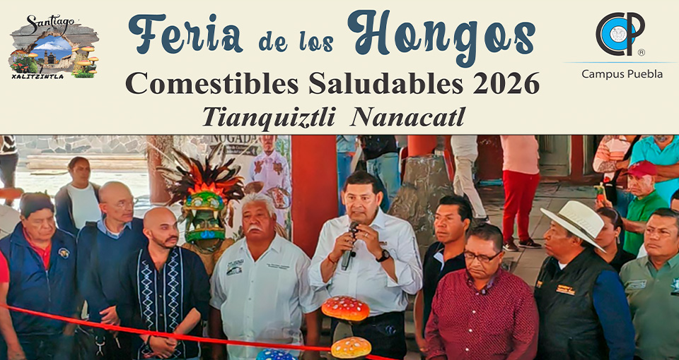 HONGOS MEDICINALES Y TU SALUD