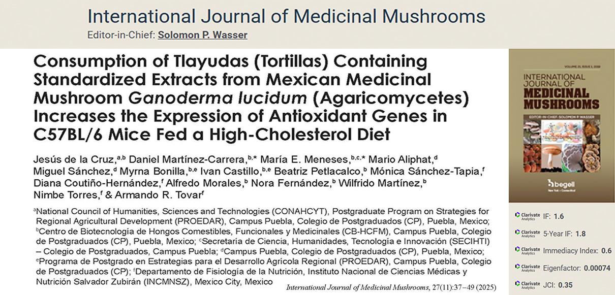 HONGOS MEDICINALES Y TU SALUD